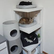 リビング 猫スペース モノトーンインテリア ねこと暮らす 猫 などのインテリア実例 2020 04 30 15 41 22 roomclip ルームクリップ リビング 猫 収納 アイデア 猫の家具