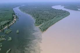 The Untold History of the River Niger & River Benue: How Two Rivers Shaped  Nigeria's Past and Present | In9ja Blog
