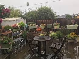 How to grow lotus lotus flower colors include white, red, pink, yellow, lavender and blue. My Grandparent S Beautiful Back Yard Porch In Salinas Ca Gardening