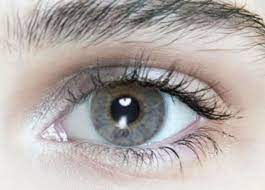 Which Colour Season Are You The Concept Wardrobe Color Analysis Seasonal Color Analysis Skin Color Palette