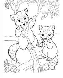 Check spelling or type a new query. Cute Chester Raccoon Coloring Page Coloringbay
