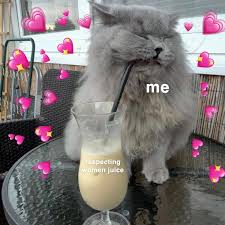 Cat Heart Memes On Twitter Drink Your Juice