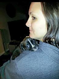 Boxer heart photos wanted