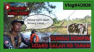 Noorafidah kamarudin, fri glami lemi, jelebu, negeri sembilan. Memancing Udang Galah Kuala Rompin Pahang Youtube