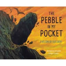 The Pebble In My Pocket