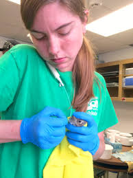 Caring for baby animals is hard work