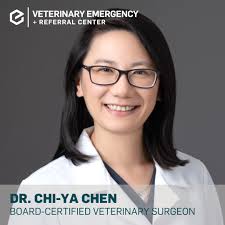 🩺 Surgery Spotlight: Dr. Chi-Ya Chen, DVM, DACVS Meet one of VERC Hawaii's  expert surgeons! Dr. Chi-Ya Chen is a board-certified veterinary surgeon  who blends advanced surgical skill with a deep compassion