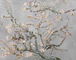 What kind of flowers did van gogh paint? Vincent Van Gogh Almond Blossoms In Grey Gray 1890 Hd Canvas Print Or Art Print Artwork Wall Poster Impressionism Van Gogh Print Canvas Van Gogh Almond Blossom Almond Blossom Vincent Van Gogh