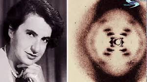 James watson and francis crick meet: James Watson Francis Crick Maurice Wilkins Hands Behind Determining The Structure Of Dna Youtube