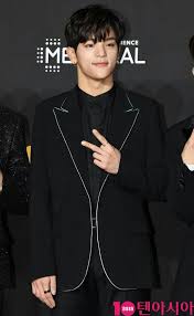 20181210 Press Media Stray Kids At 2018 Mama Premier In Korea Red Carpet K Pop