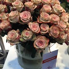 Flores Antón Ramón