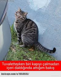 Incicaps Beyaz Yaka Icin Mizah Kulturu En Komik Fotograflar Komik Komik Resimler