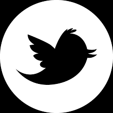 Twitter Logo Circle Png - Twitter Logo White Circle Clipart - Large Size  Png Image - PikPng