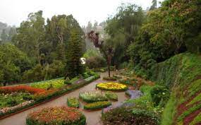 Explore Top 5 Tourist Attractions Of Ooty India Landscape Ooty Botanical Gardens