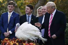 Earlier in this chain, someone made a comparison to halloween. Thanksgiving Why Some Americans Don T Celebrate The Controversial Holiday The Independent