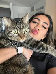 What to do about a cat that nips at you in your chair?