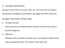 Direktur medis dari pusat pengobatan seksual di. Jaringan Tumbuhan Dan Hewan Ppt Download