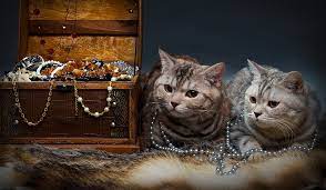 Si pisica egyptian mau este una dintre cele mai scumpe rase. Cele Mai Scumpe Pisici Din Lume