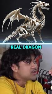 Could Dragons Actually Be Real? Discover the Evidence