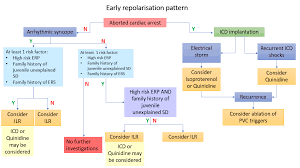 Image result for Early Repolarization