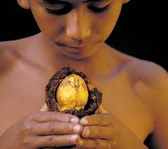 Forests and people: research that makes a difference