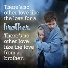 This page is under construction, please do not do large edits, thank you! Best Brother Quotes And Sibling Sayings Boostupliving