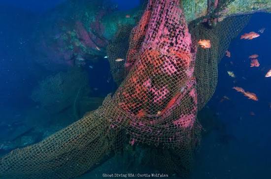 A hidden "ghost net" crisis has been revealed in Mangrove Photography Awards.  For years, Gaurav Patil has seen abandoned fishing nets snag and tangle in  India's mangroves. They're known as "ghost nets"
