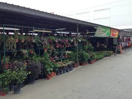 Photos, address, and phone number, opening hours, photos, and user reviews on yandex.maps. Happy Sweet Garden Happy Sweet Garden Seremban 2 Facebook