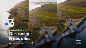 Des racines et des ailes est un magazine télévisé français de reportages et de rencontres créé par patrick de carolis et patrick charles et diffusé pour la première fois le 26 novembre 1997. Des Racines Et Des Ailes Retrouvez La Faculte Faculte De Medecine Montpellier Nimes