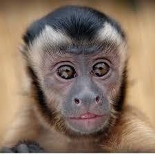 Maybe you would like to learn more about one of these? Top 10 Best Petting Zoos In Fairfield Ct
