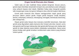 We did not find results for: Kunci Jawaban Buku Tema 1 Kelas 5 Sd Subtema 1 Organ Gerak Hewan Dan Manusia Utara Times