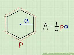 How To Calculate The Area Of A Polygon With Examples Wikihow