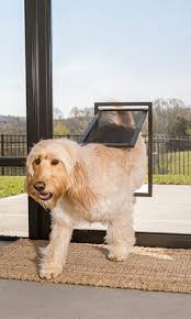 Check spelling or type a new query. Installing A Pet Door 5 Things To Know First Bob Vila