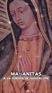 Nos vemos este martes! Ven por tus tacos de $.99 +Tax Válido en todas  nuestras locaciones. No aplica en pedidos online. #tacotuesday  #tacolovers❤️🌮 #LaSalsaVerdeTaqueria