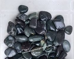 Hình ảnh về Sỏi biển đen