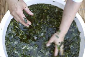 Comment réaliser un bain de purification spirituel à bases d'herbes  magiques?