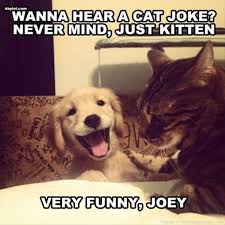 We've even included some favorite gags of our own, too. Pun Archives Fun Cat Pictures