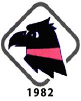 Palermo ecco il nuovo logo. La Maglia Rosanero Tutti I Loghi Della Storia Del Palermo Calcio