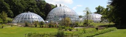 I migliori hotel e alberghi vicino a botanical garden (botanischer garten), zurigo, svizzera: Uzh Botanischer Garten