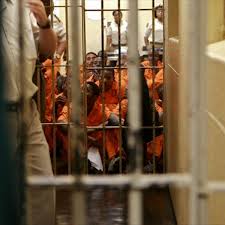 Kale wilk, file, the times Sorghum Beer Drugs Found In Westville Prison Search