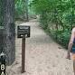 High Dunes Hike @ Indiana Dunes State Park