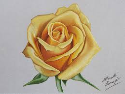 As shown in the picture, draw a half u letter, starting step 8: How To Draw A Realistic Rose Step By Step Drawing Tutorial Easy