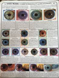 Rayid Model 2 Iridology Chart Health Chart Naturopathy