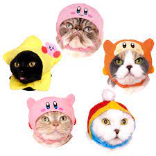 Pin By Kat Staggers On Chief S Best Life Cat Hat Cats With Hats Kitty
