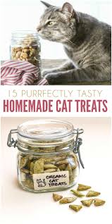Preparing homemade cat food can be a real treat for your pet, especially when you use prime ingredients like real fish, chicken, and beef. 15 Purrfect Homemade Cat Treats To Spoil Your Kitty