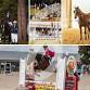 8th Annual Florida Thoroughbred Transformation Expo
