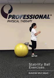 A stability ball is a versatile and dynamic workout tool that you should seriously consider including in other than that, stability balls are fun, and here are 7 reasons you should incorporate them into. 5 Stability Ball Exercises Daily Burn
