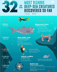 32 Of The Most Bizarre Deep Sea Creatures Discovered So Far Infographic Deep Sea Creatures Scary Ocean Sea Creatures