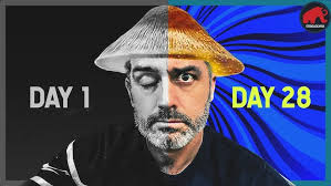 Marijuana Mind Ep. 14 Psilocybin and Psychedelics with Sean Hardwick