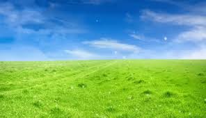 Cinemagraph gif gif nature cinemagraph perfect loop cinemagraphs living stills. Top 30 Nature Background Gifs Find The Best Gif On Gfycat